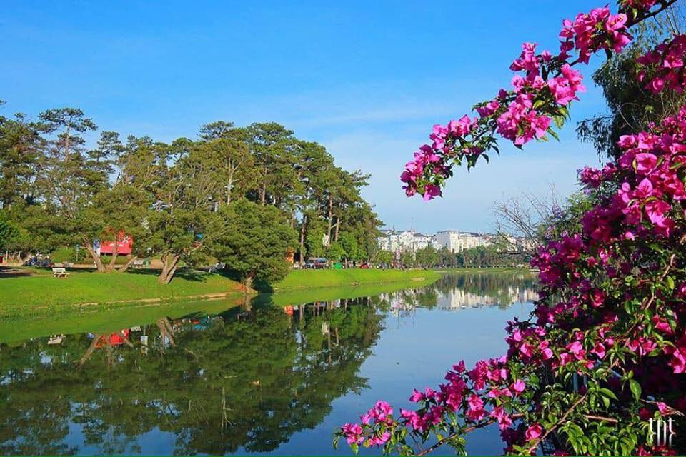 đà lạt đẹp lắm đà lạt ơi