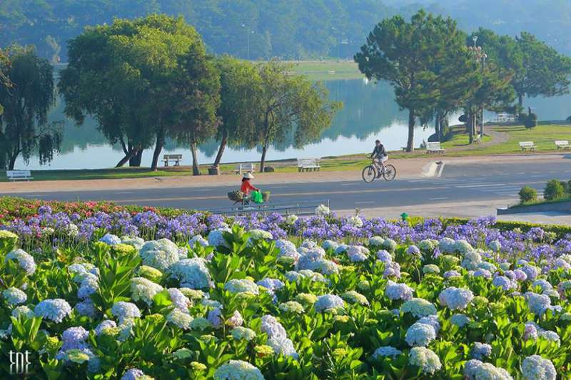 cảnh đà lạt